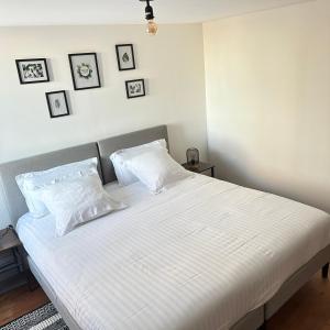 Domaine de la Roche Chabrelle