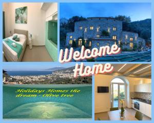 Holidays Homes The dream