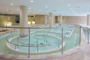 Appartements Studio 2 lits . 500m des thermes. 1 km du Lac : photos des chambres