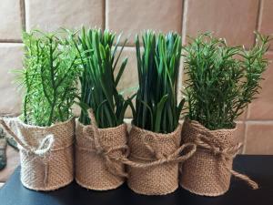 The spacious comfy apartment in the heart of Blloku