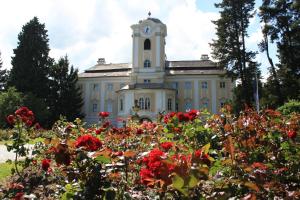 4 stern hotel Schlosshotel Rosenau Superior Schloss Rosenau Österreich