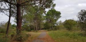 B&B / Chambres d'hotes Chambre d'hotes Entre-deux Lacs : photos des chambres