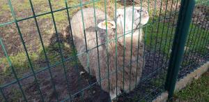 B&B / Chambres d'hotes Chambre d'hotes Entre-deux Lacs : photos des chambres