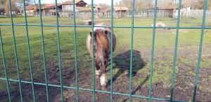 B&B / Chambres d'hotes Chambre d'hotes Entre-deux Lacs : photos des chambres