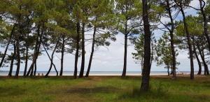 B&B / Chambres d'hotes Chambre d'hotes Entre-deux Lacs : photos des chambres