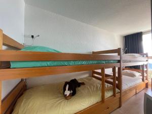 Appartements Alpes Sweet Home - Residence le Sanghri-La : photos des chambres