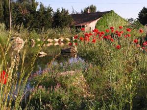 Villas Aux chants des grenouilles : photos des chambres