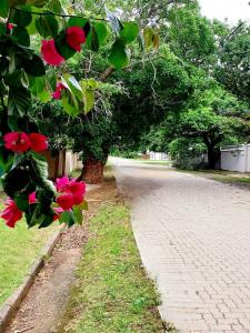 Bedford Way cottages