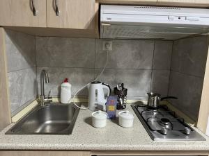 Leselidze Guest House