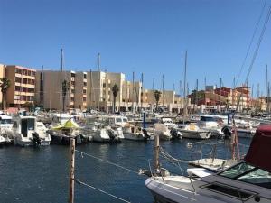 Studio Port Leucate, 1 pièce, 3 personnes - FR-1-81-352