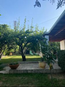 Casa Martina 1 SPATA 10min Athens airport