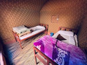 Wadi Rum Desert Camp