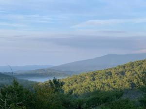 Vistas at Trout Lake