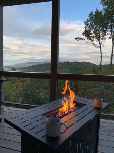 Vistas at Trout Lake