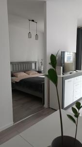 Apartment z ogródkiem na Warszawskiej Woli