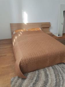 Central City Apartment