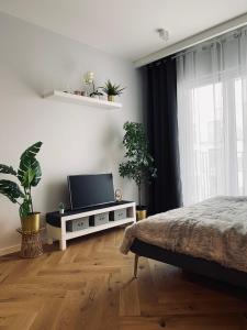 Wileńska Home apartment 1