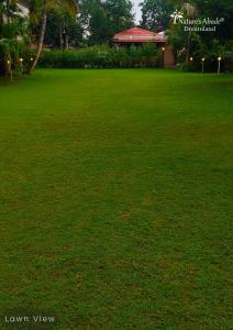 Dreamland by Natures Abode® Villas