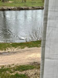 Maisons d'hotes Sur le Loing : photos des chambres