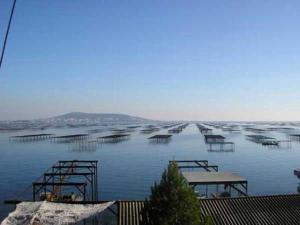 Maison mitoyenne duplex avec terrasse, garage et parking, proche plage, équipée pour 4 à 6 personnes - FR-1-326-385