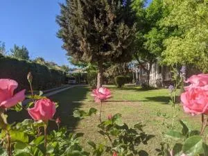 Roque 4047 - Caucete