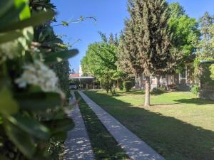 Roque 4047