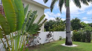 Tropical Gecko Studio - Sweet Jewel Apartments