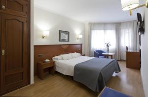 Double or Twin Room room in Hotel Alixares
