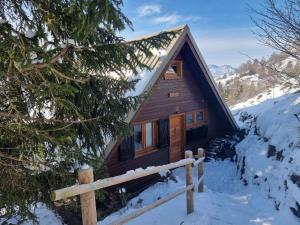 Chalet équipé 6 personnes avec cheminée et animaux admis - FR-1-393-159