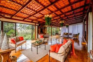 Montana Zurqui - Concepción