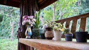 LANNA HOUSE บ้านลานนา เชียงดาว
