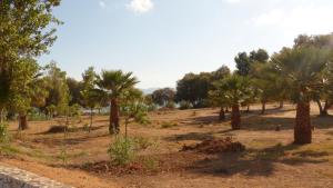 Annas Sea House near to a sandy beach!