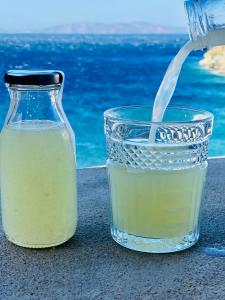 Archipelagotinos