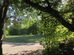 Lodges cabane lodge avec spa privatif : photos des chambres