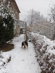 Maisons d'hotes L'EMBELLIE : Chambre Double - Vue sur Montagne