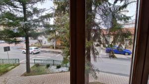 Belle Apartments - Bratianu