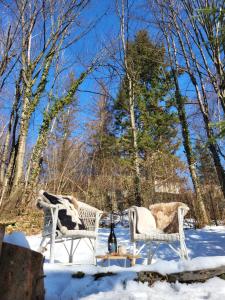 Jázminka alpesi házikó