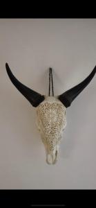 LOFT La Grande Motte