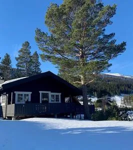 Uvdalhytta - close to cross country and downhill skiing - Sønstebø