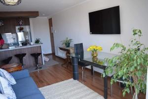 Departamento Concepción III