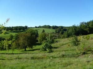 Maisons de vacances Leygat : photos des chambres