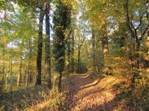 Maisons de vacances Leygat : photos des chambres