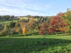 Maisons de vacances Leygat : photos des chambres