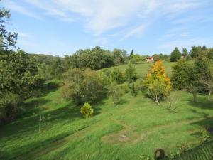 Maisons de vacances Leygat : photos des chambres