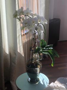 Old Town Apartment Lipscani