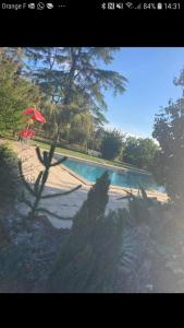 Maisons de vacances Gite cocooning avec piscine : photos des chambres
