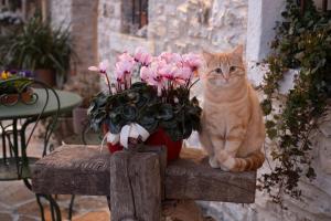 Agriturismo Casaborgomarche