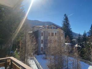 Alloggio "Pineta" sulle piste di clotex