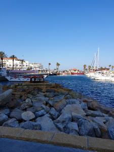 Maisons de vacances Bungalow de 3 chambres avec piscine partagee terrasse amenagee et wifi a Saint Cyprien a 3 km de la plage : photos des chambres