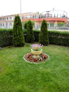 Sunny Flower Family Hotel